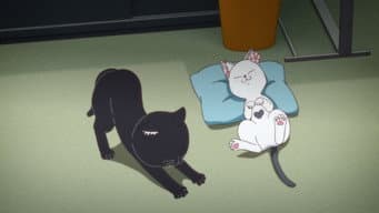 O Profissionalismo da Hana-chan/A Tigresa na Sala do Macarrão