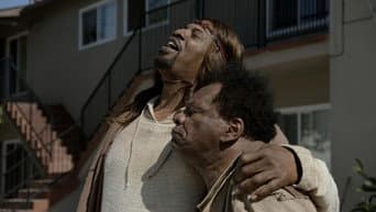 Episódio 8