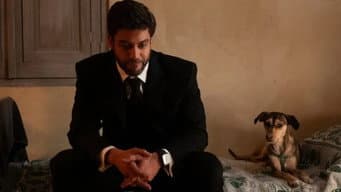 Episódio 29