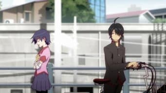 Suruga Monkey 1