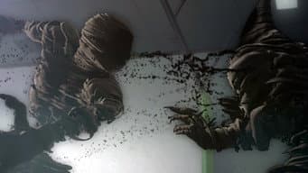 Você Já Viu Um Fantasma Preto?