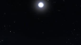 Longa Noite