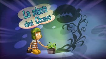 A Planta do Chaves