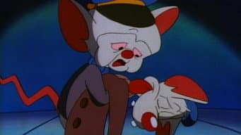 Ratos de Labolatório