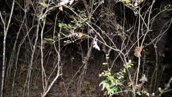 Fantasmas de Gettysburg e Mais