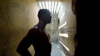 Ucrânia: a prisão em zona de guerra