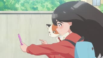 Episódio 16