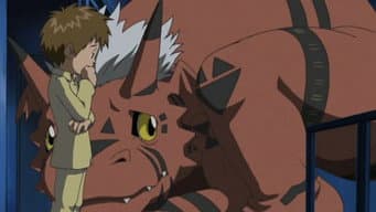 Episódio 9