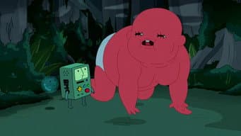 Beemo Perdido