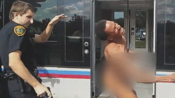 Caos Pelado