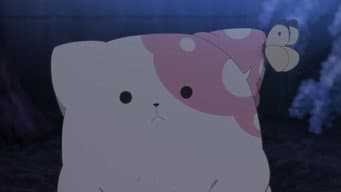Kinokoinu nasceu