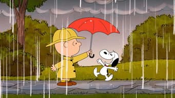 Felicidade é um dia de chuva
