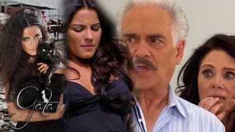 Episódio 43