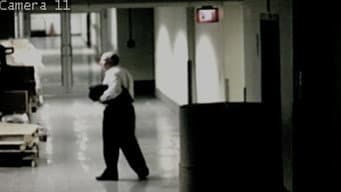 Episódio 7