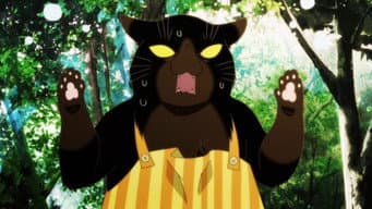 O Gato Prendado Fugiu de Casa?