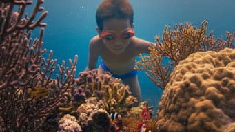 A Cidade de Coral