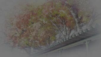 Episódio 7