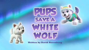 Os Filhotes Salvam um Lobo Branco