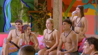 Semear Fofocas E Colher Drama