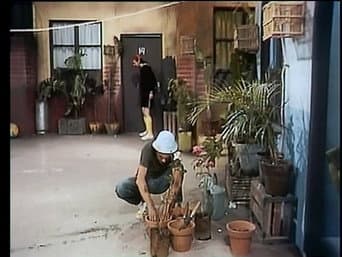Cyrano de Bergerac - Ama o teu inimigo