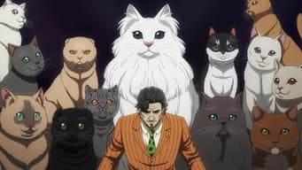 Prisão de Gatos