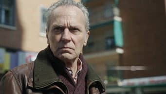 Jogar pedra em casa de marimbondo
