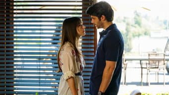 Episódio 13
