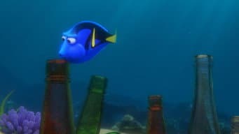 Dory Procurando