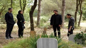 Episódio 8