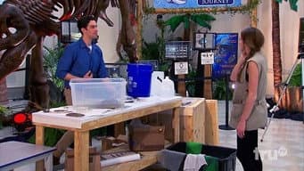 Episódio 24