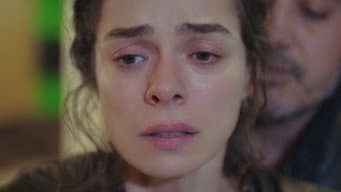 Episódio 12