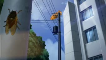 Episódio 11