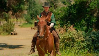 A menina que amava cavalos