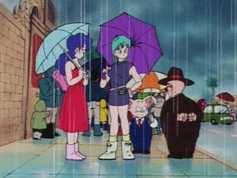 Um Reencontro Depois da Tormenta