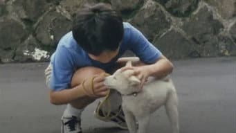 O Cachorro Bomba