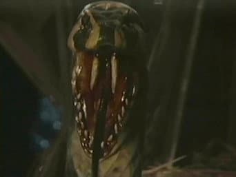 Episódio 8