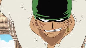 O Grande Espadachim! O Caçador de Piratas, Roronoa Zoro!