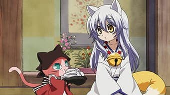 Episódio 11