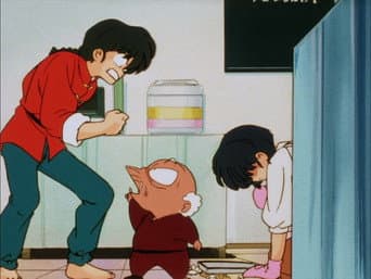 Ranma, você é mesmo um tapado!