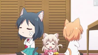 O Dia das Gatinhas 2