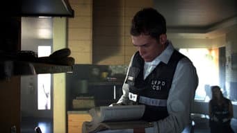 Episódio 7