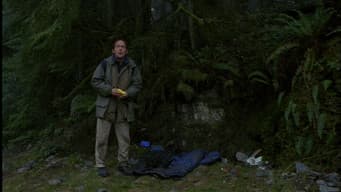 Episódio 12