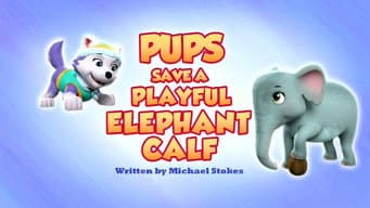 Filhotes Salvam o Bebê Elefante Brincalhão