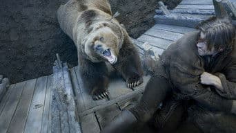 O Urso e a Bela Donzela