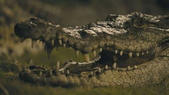EPISÓDIO 6