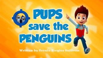 Os filhotes salvam os pinguins