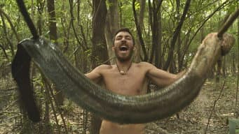 60 Dias