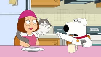 O Gato da Família