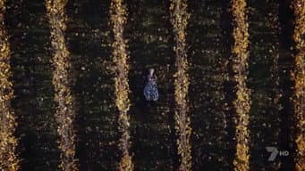 Episódio 4