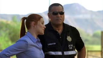 Episódio 8